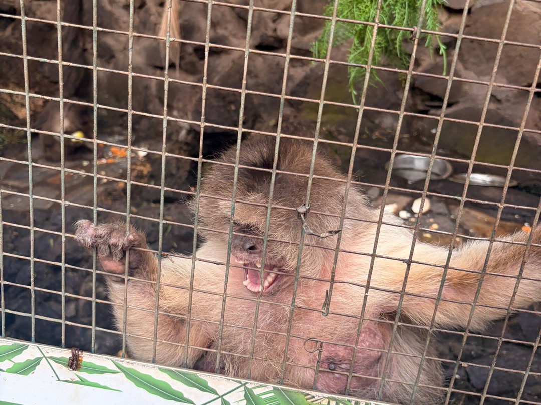 Maroparque Isla de La Palma-Brena Alta必去景点