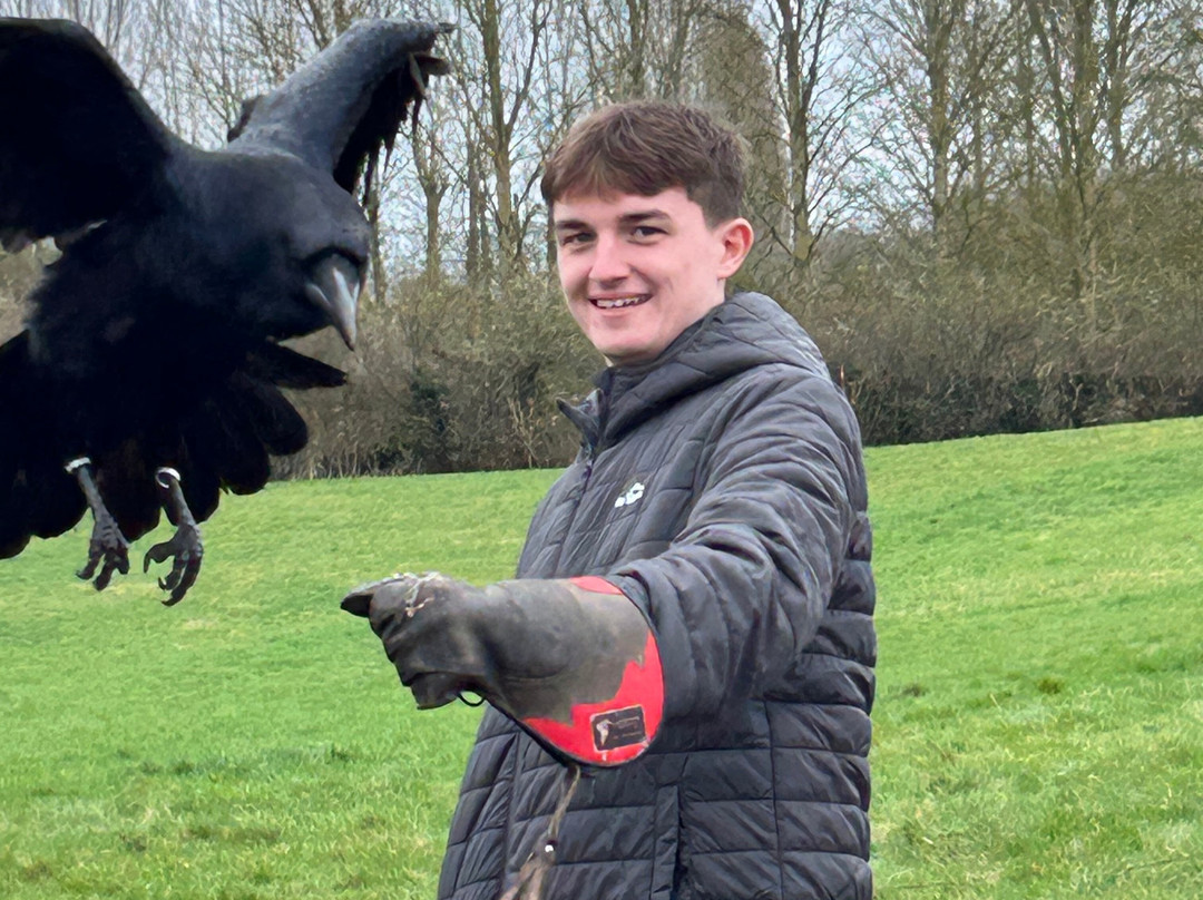 Lavenham Falconry-Monks Eleigh必去景点