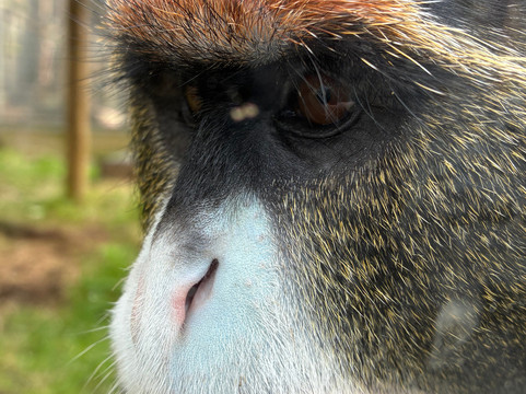 Hoo Zoo And Dinosaur World-特尔福德必去景点