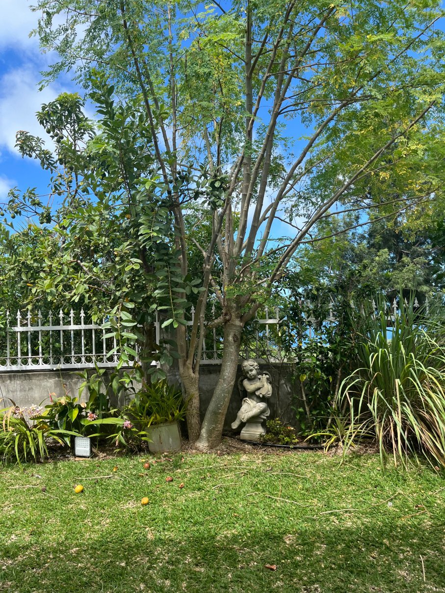 欧吉梅尔旅馆-官方