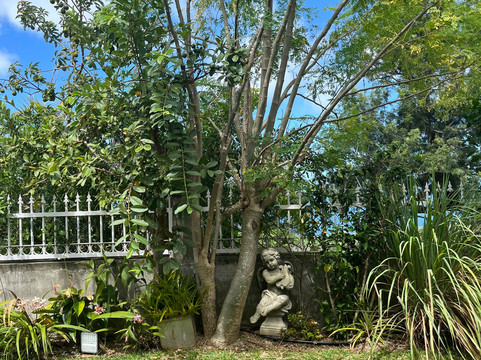 欧吉梅尔旅馆主图