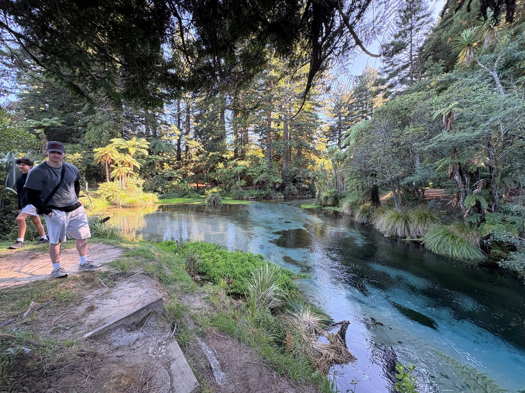 Hamurana Springs Nature Reserve-哈姆拉娜必去景点