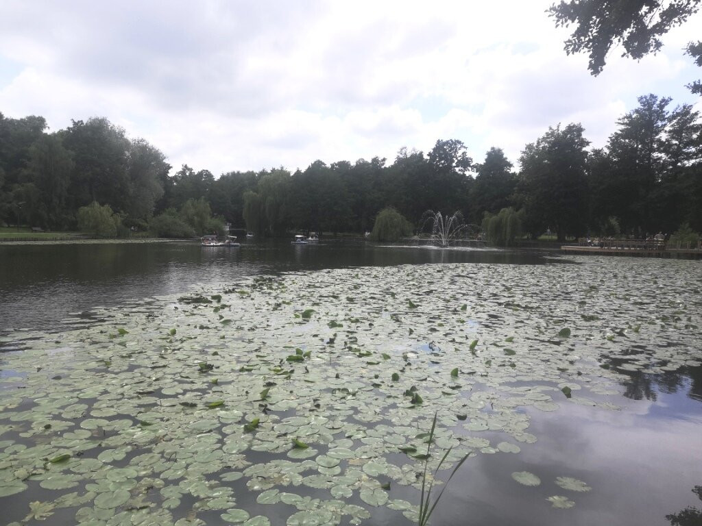 Tortilin Pond-泽列诺格拉茨克必去景点