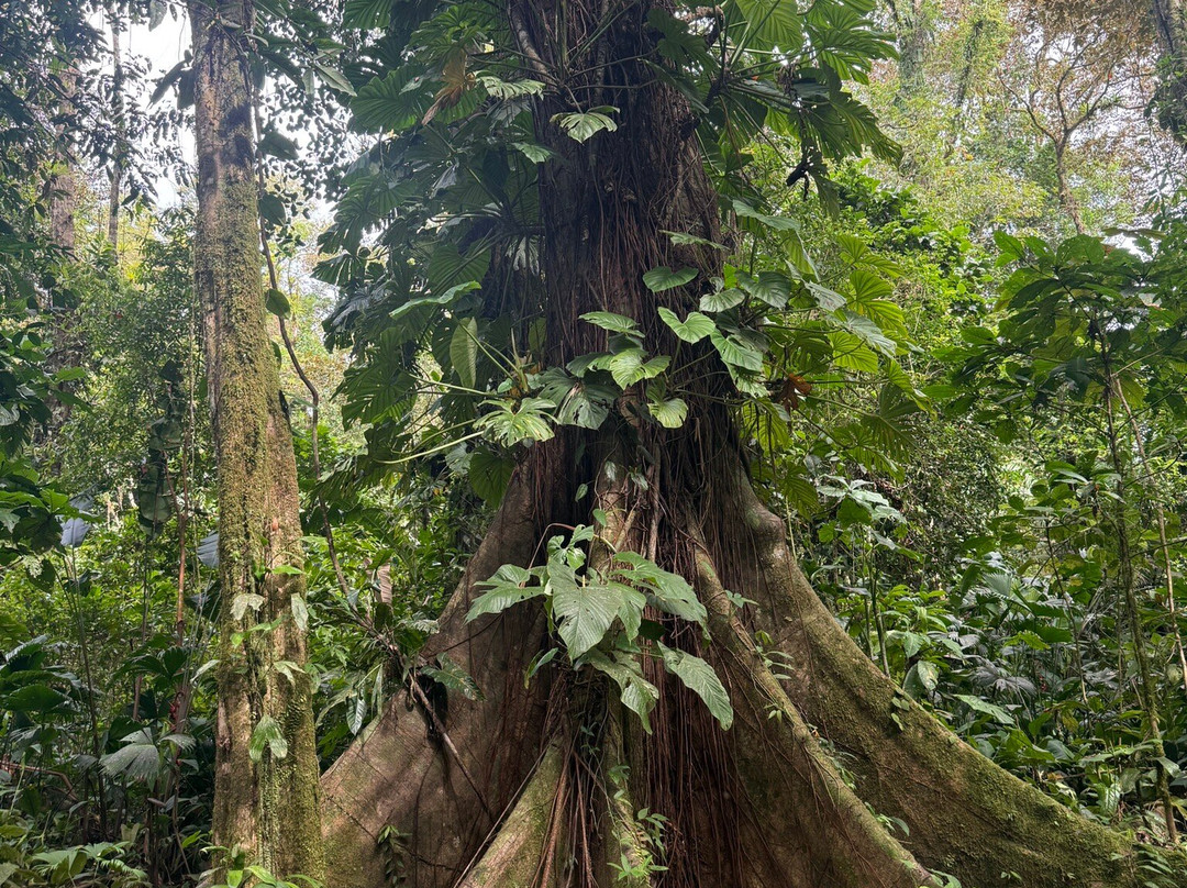 La Tierra Del Encanto-Isla Bastimentos必去景点