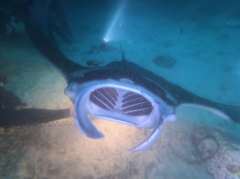 Dune Maldives-胡鲁马累必去景点