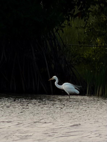Kayak journey-Rekawa必去景点