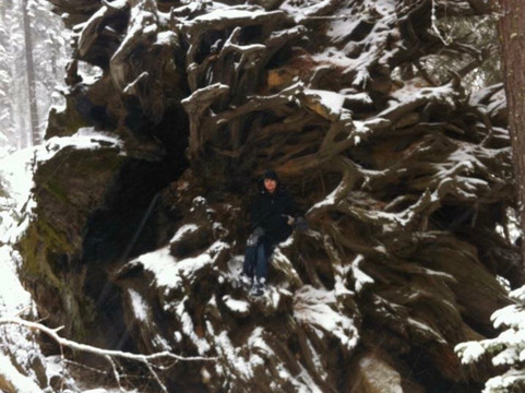 Sequoia Park-尤里卡必去景点