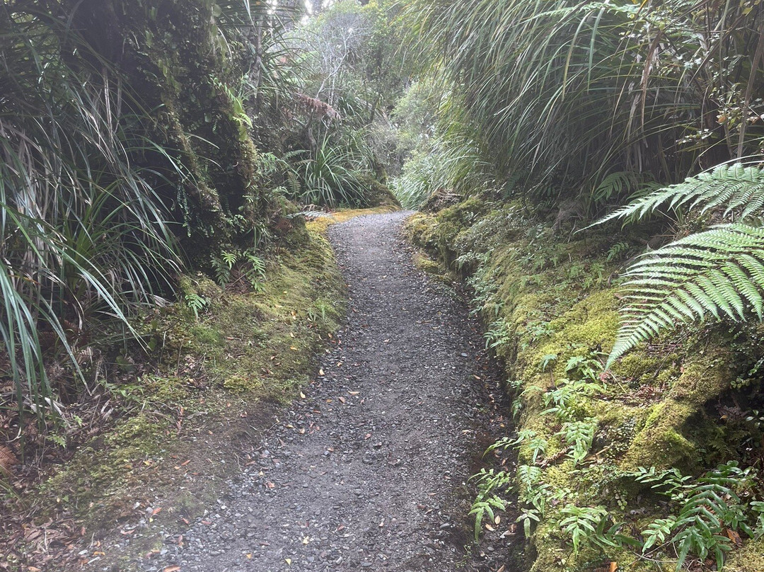 Ship Creek Walks-Haast必去景点