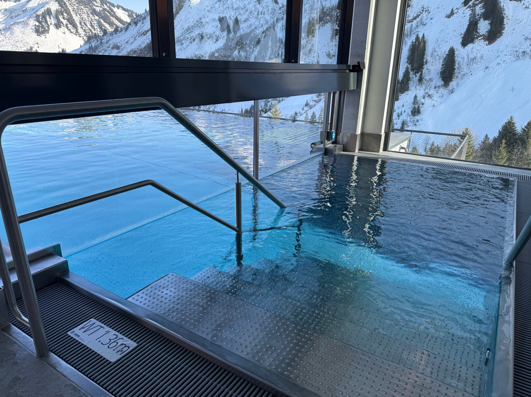 达穆尔森霍夫酒店 - 健康及Spa中心主图