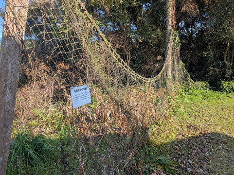 Minamata Disease History Documented Museum-水俣市必去景点