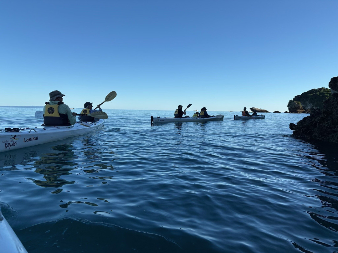 Golden Bay Kayaks-塔卡卡必去景点