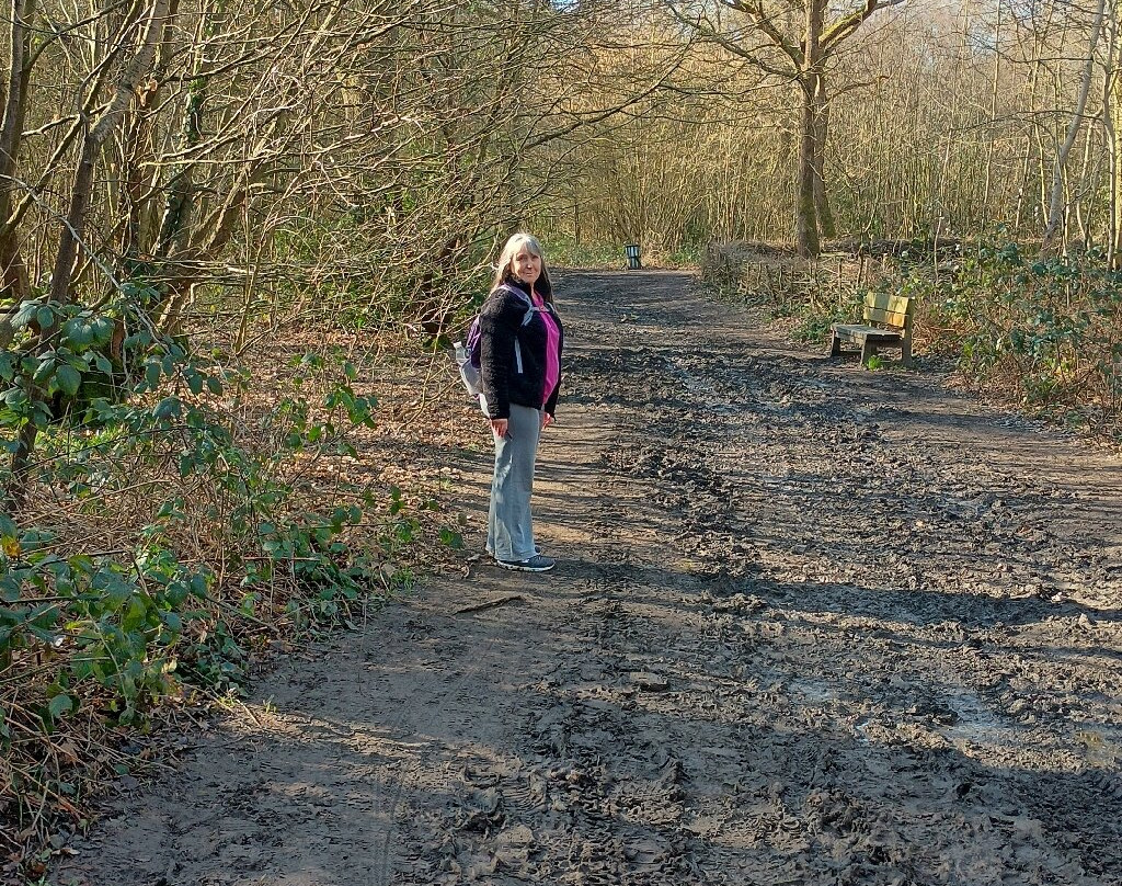 Belfairs Wood, Park and Nature Reserve-Leigh-on Sea必去景点