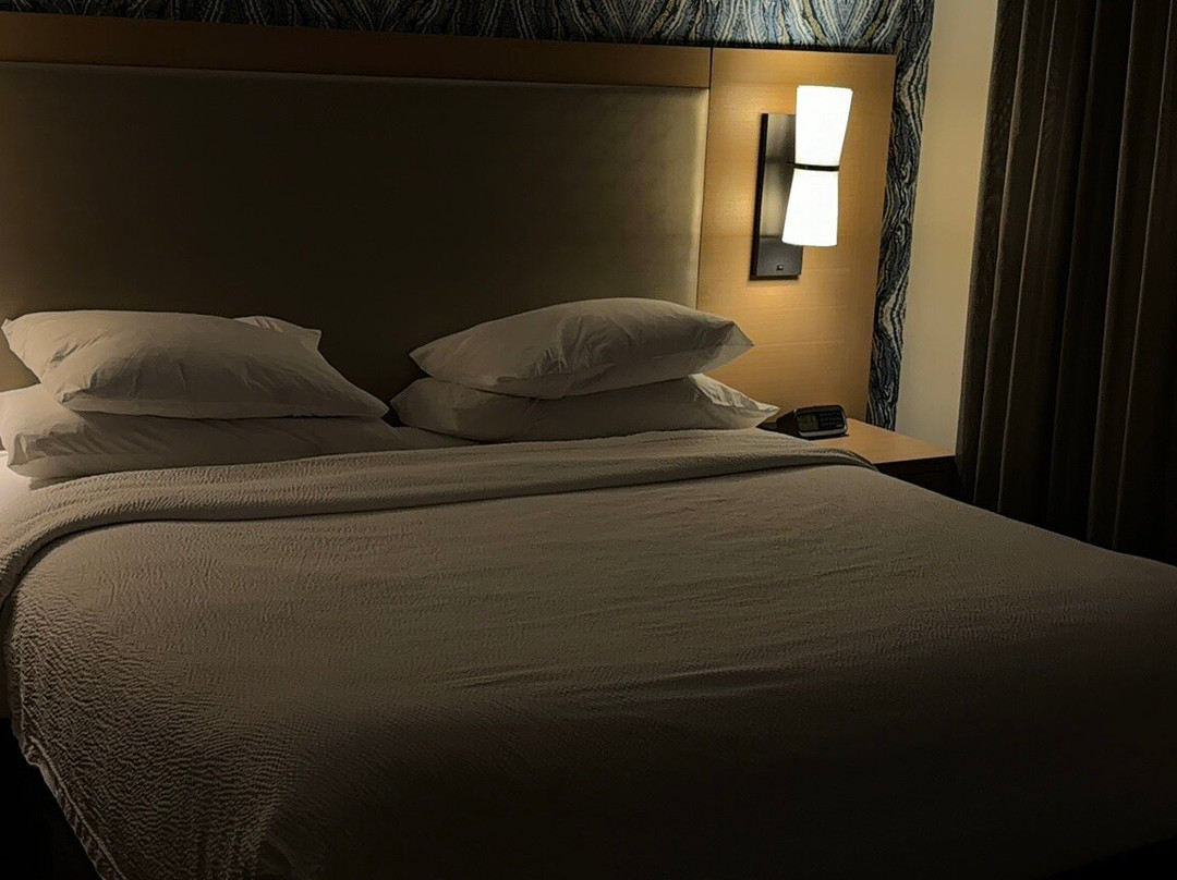 棕榈滩花园Residence Inn 酒店主图