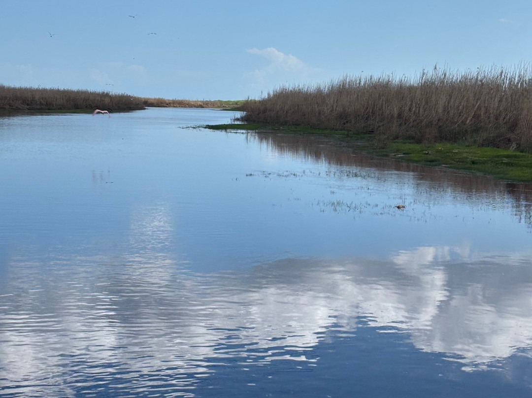 Airboat Rides Melbourne-墨尔本必去景点