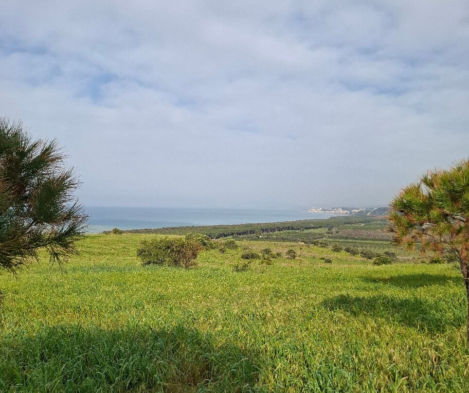 Eraclea Minoa-阿格里真托必去景点