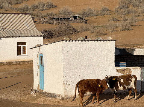 Nurata Tours-Nurata必去景点