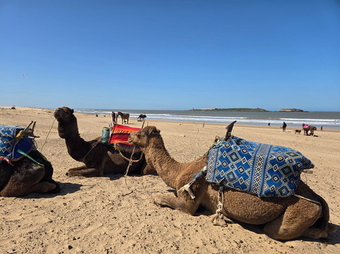 Essaouira Activités-索维拉必去景点