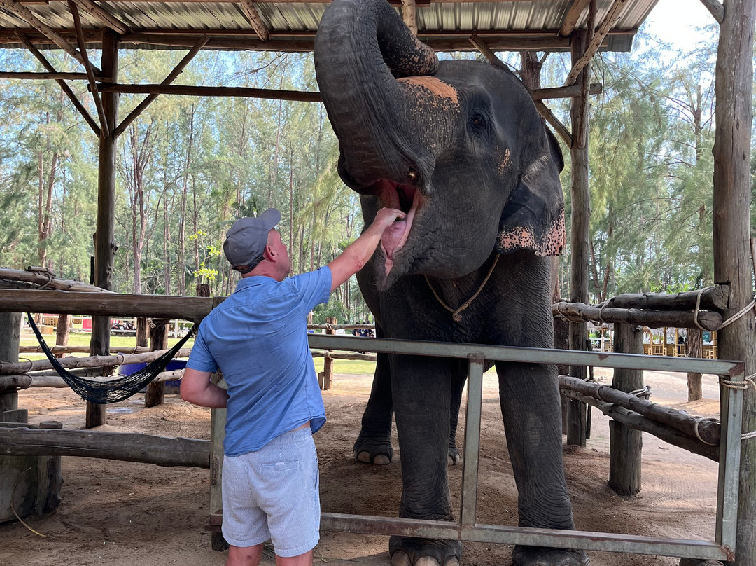Khao Lak Elephant Home-拉克山必去景点