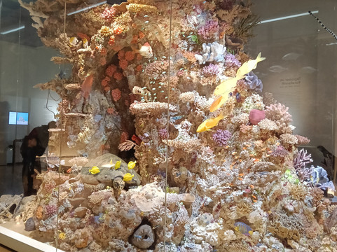 森肯伯格自然历史博物馆-法兰克福必去景点