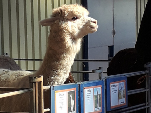 Hall Hill Farm-达勒姆必去景点