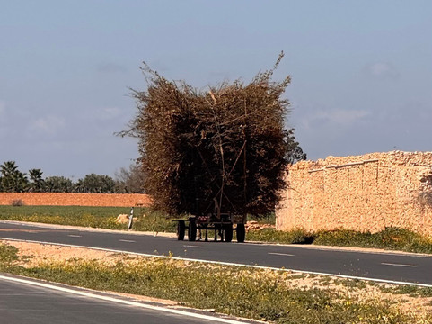 Medloc Maroc-马拉喀什必去景点