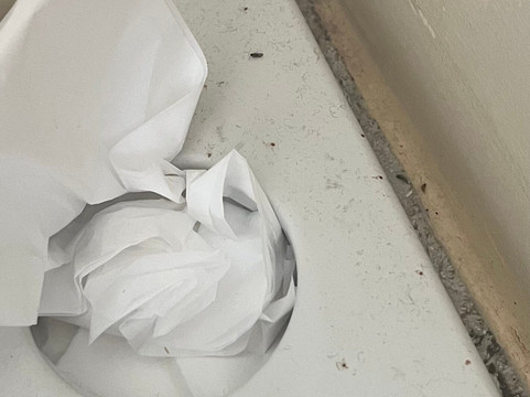 莫里特酒店主图