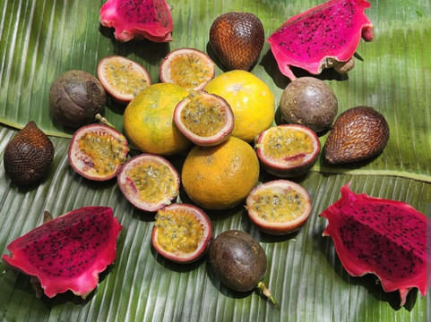 Sumatra Tour Adventures-武吉拉旺必去景点