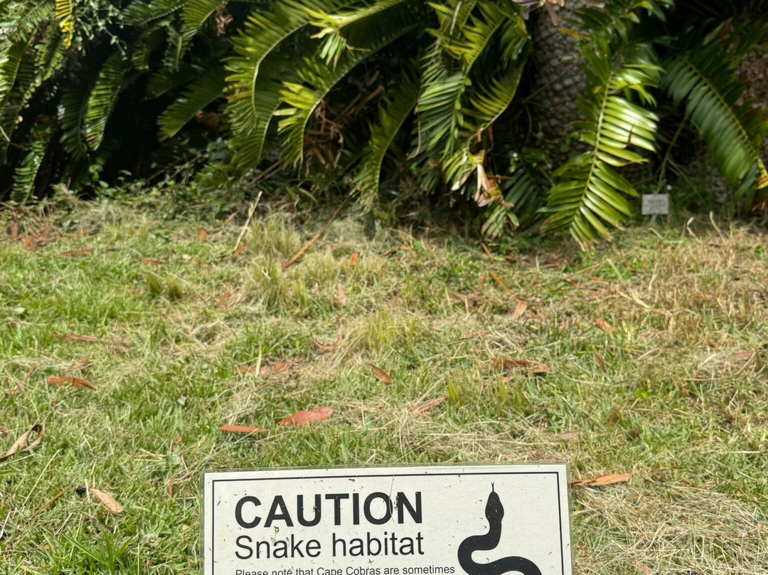 康斯坦博西国家植物园-Newlands必去景点