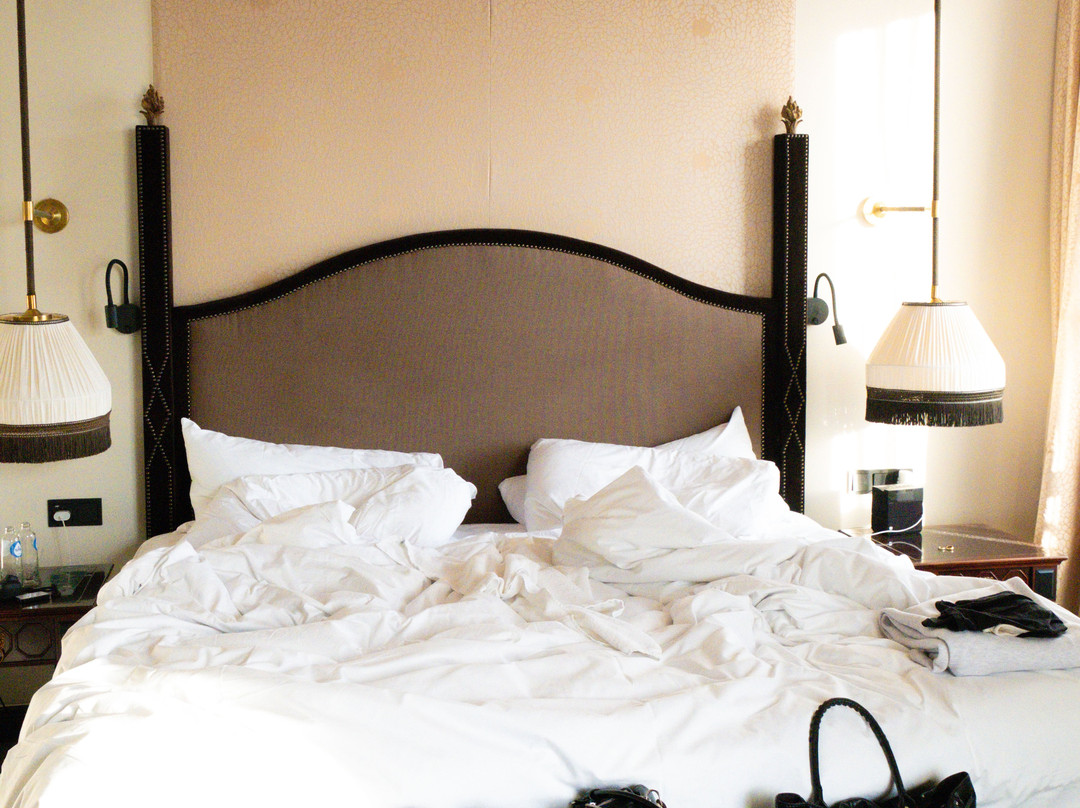 海牙德斯因德斯酒店主图