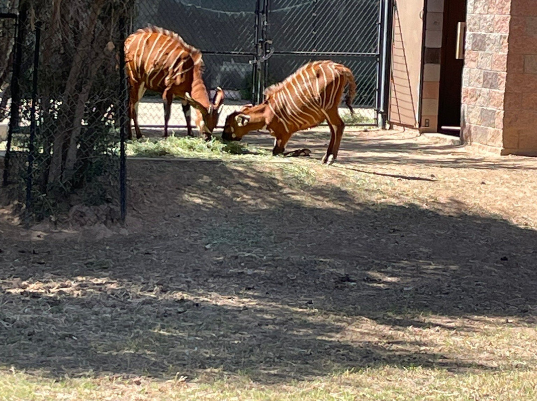 Wildlife World Zoo and Aquarium-Litchfield Park必去景点