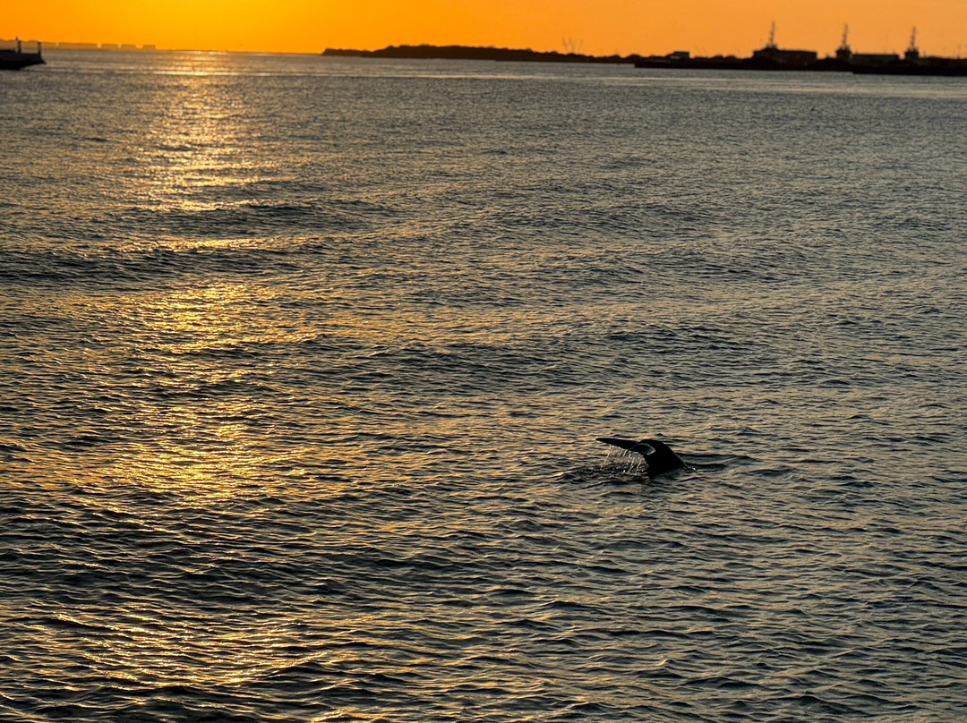 Roberts Point Park-阿兰瑟斯港必去景点