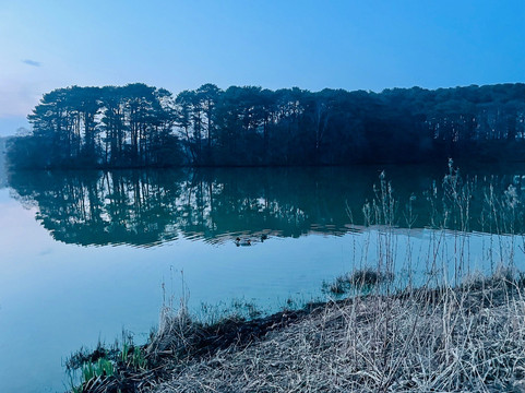 Talkin Tarn Park-卡莱尔必去景点