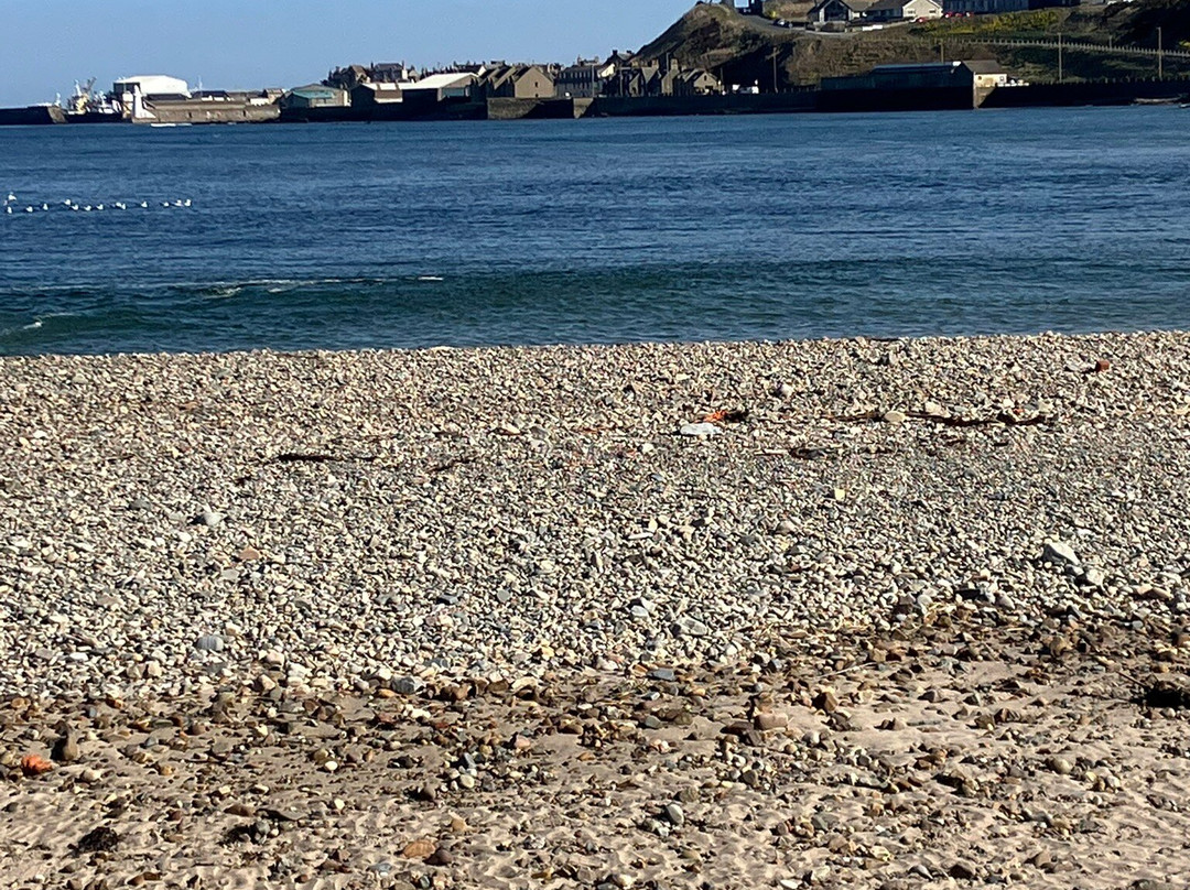 Brandon Lodge Bed and Breakfast主图