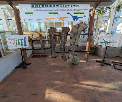 River Bend Nature Center-威奇托福尔斯必去景点