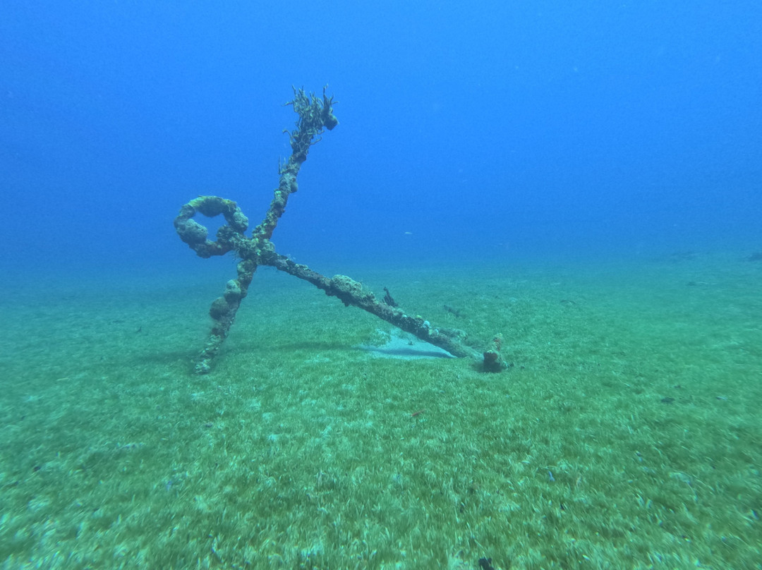 Scubaqua Dive Center-圣尤斯泰希厄斯岛必去景点