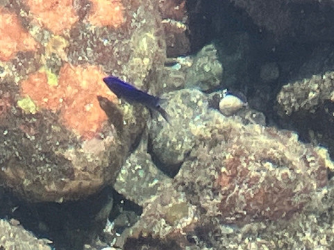 San Juanillo Beach-圣晃尼悠必去景点
