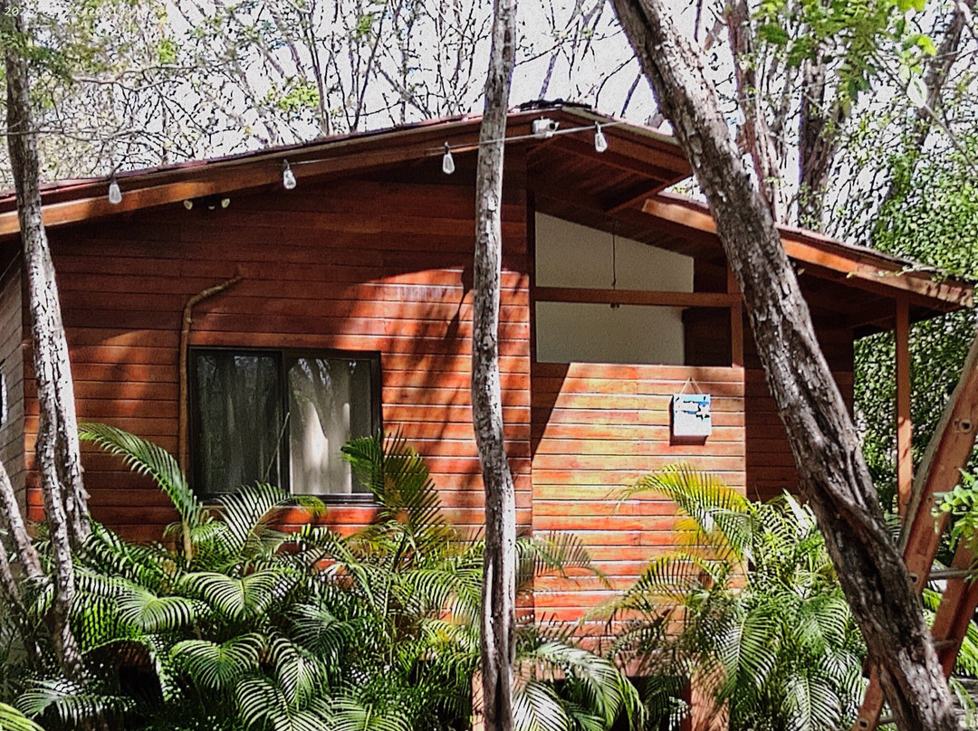 Casa Natural