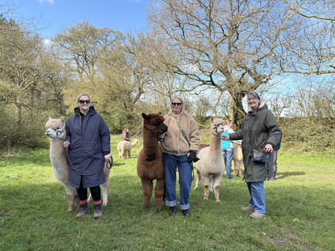Charnwood Forest Alpacas-Boundary必去景点