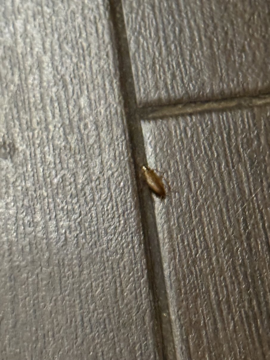 圣玛利亚岛拉娜海滩美利亚酒店-浴室