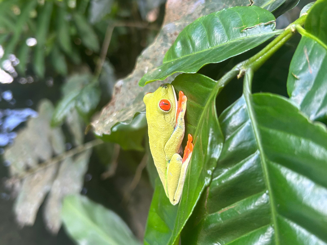 Royal Service Tours-利比里亚必去景点