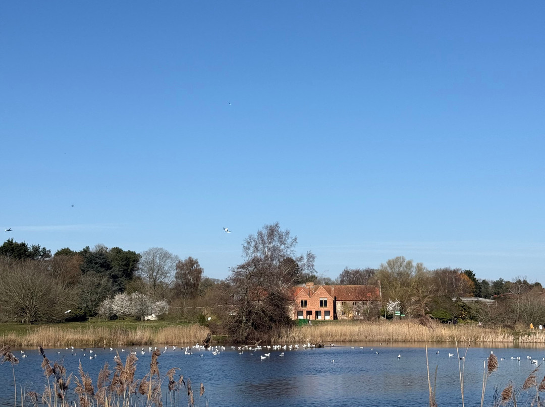 Pensthorpe-Fakenham必去景点