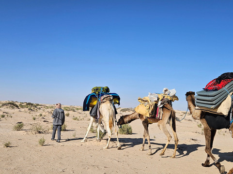 Alam Voyages-杰尔巴岛必去景点