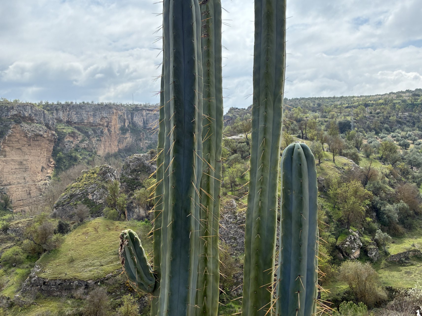 塞古利亚旅馆-官方
