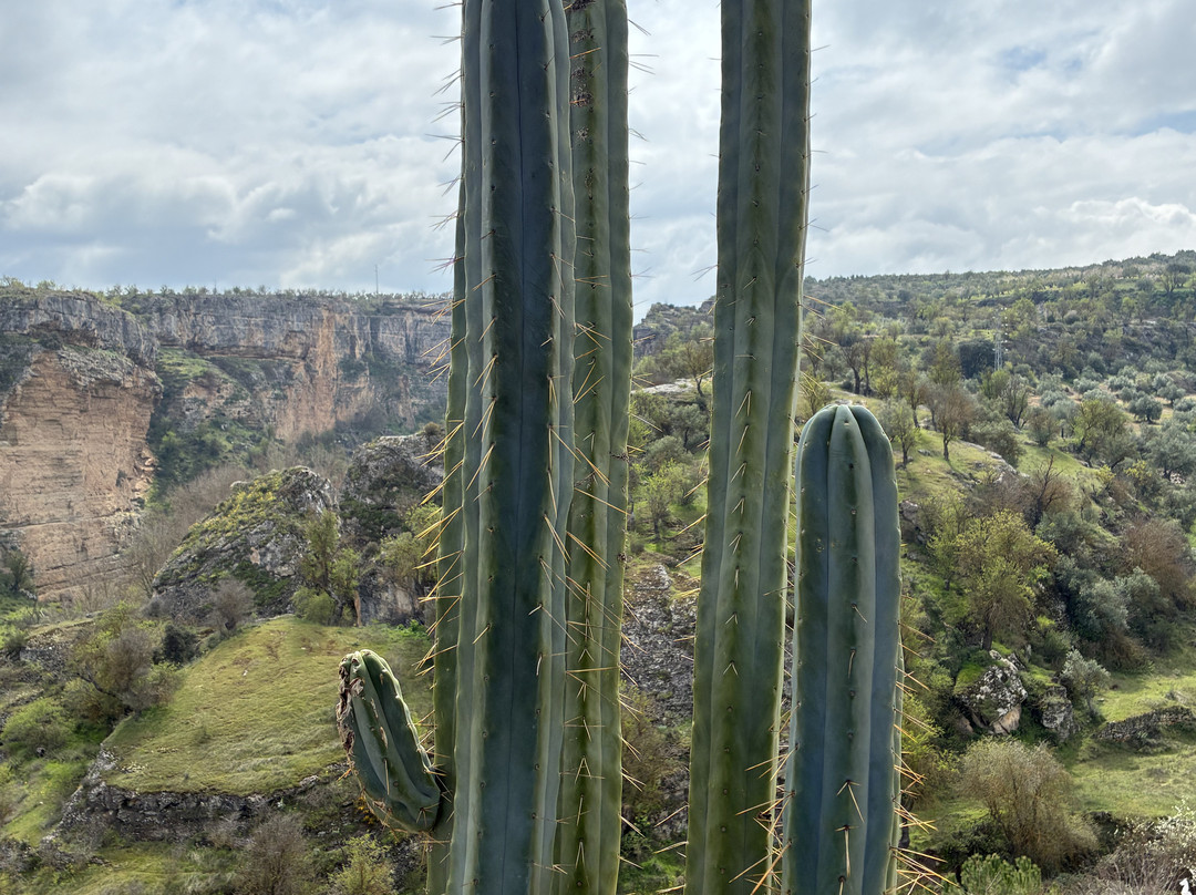 塞古利亚旅馆主图