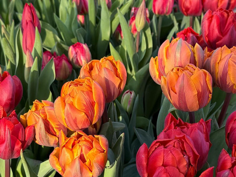 Tulleys-Turners Hill必去景点