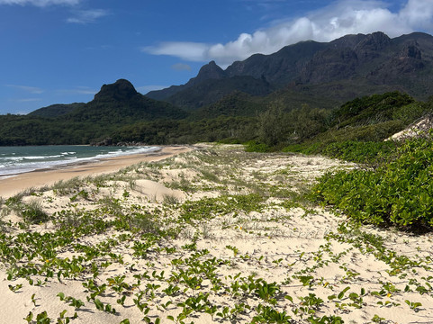 Absolute North Charters-Hinchinbrook Island必去景点