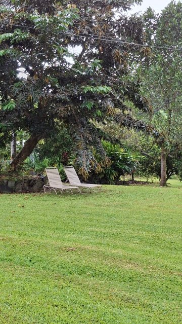 老夏威夷家庭旅馆-官方