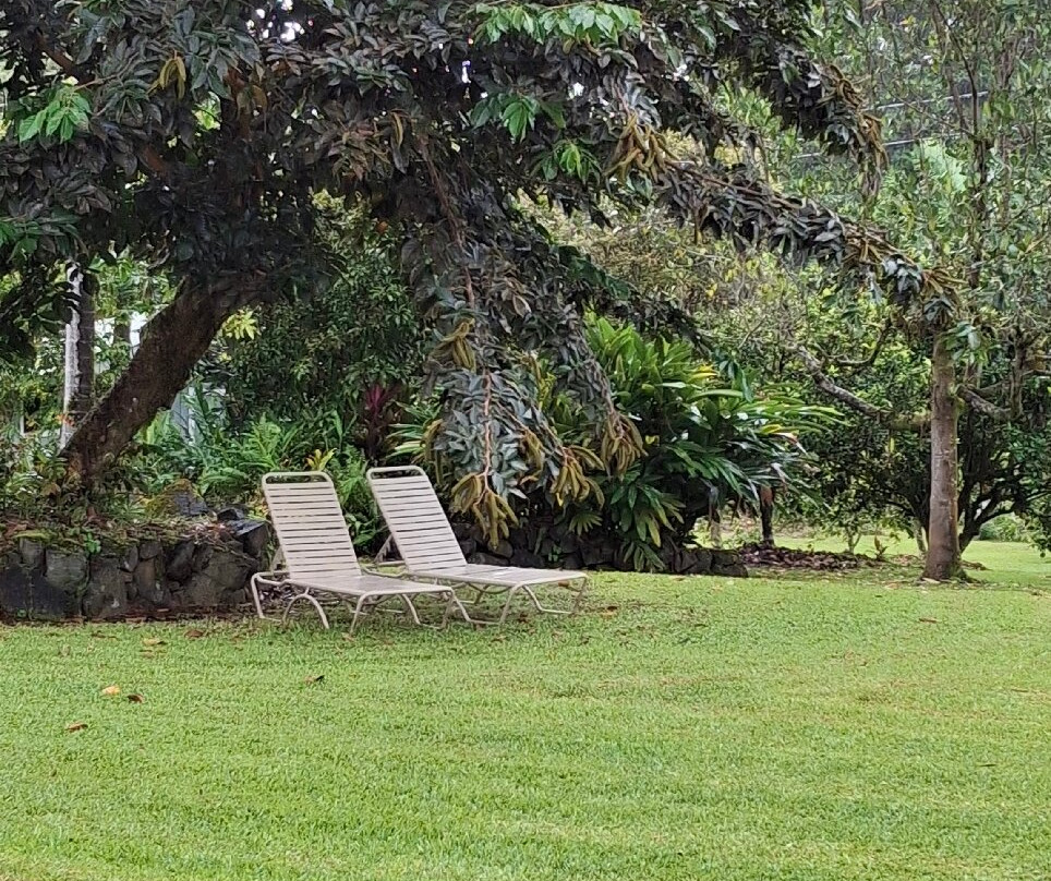 老夏威夷家庭旅馆主图