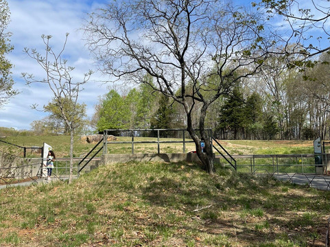 North Carolina Zoo-Asheboro必去景点