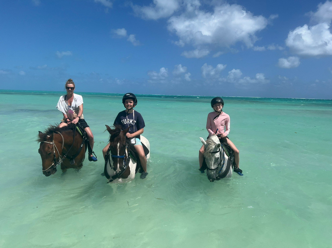 Unique Tours and Rentals-普罗维登西亚莱斯必去景点